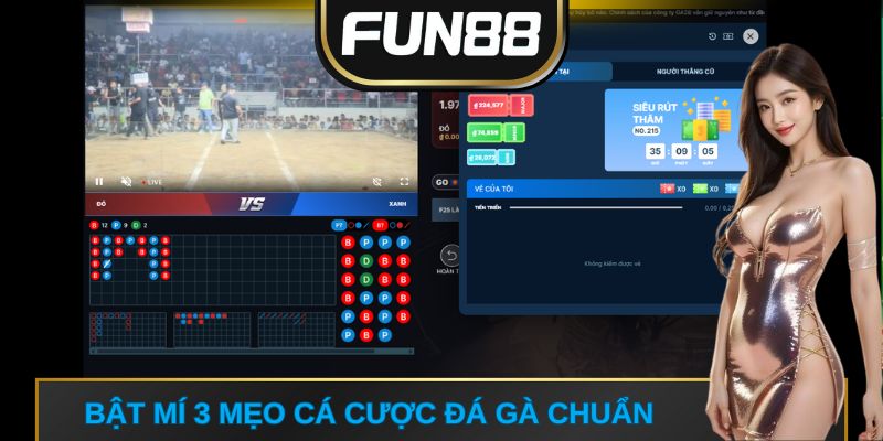 Bật mí 3 mẹo cá cược đá gà chuẩn 