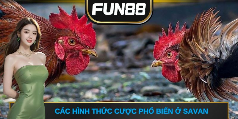 Các hình thức cược phổ biến ở Savan