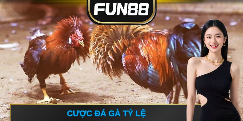 cược đá gà tỷ lệ