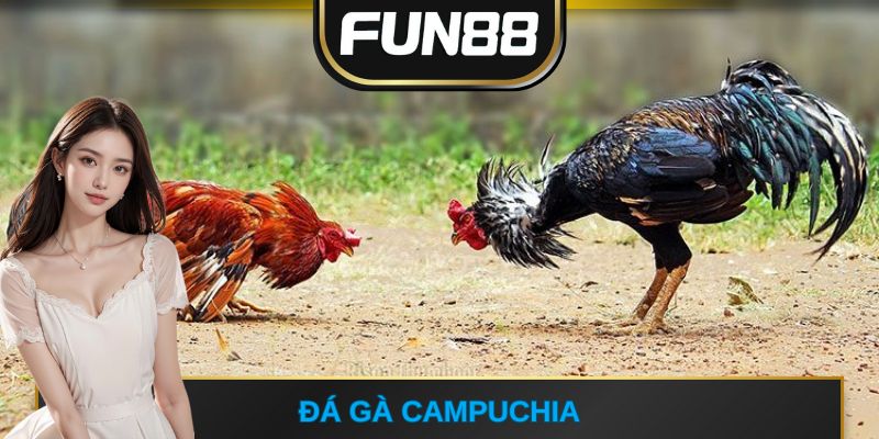 đá gà Campuchia