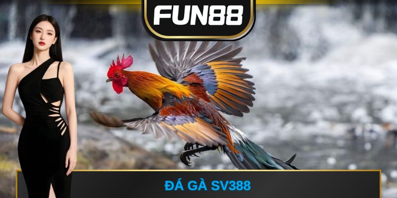Đá gà SV388