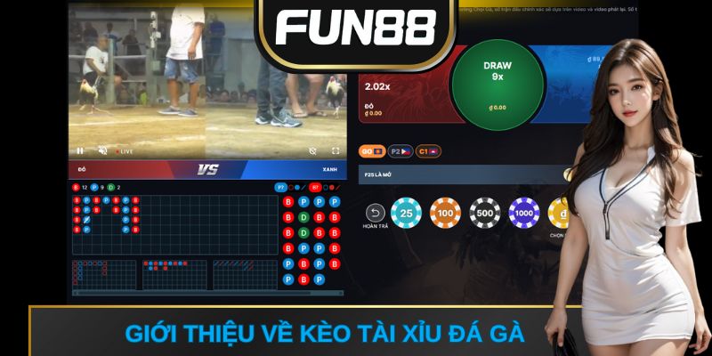Giới thiệu về kèo tài xỉu đá gà