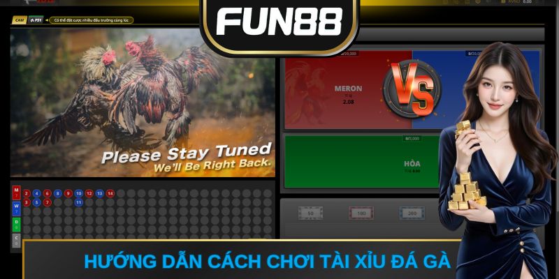 Hướng dẫn cách chơi tài xỉu đá gà