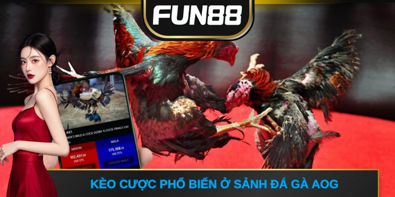 Kèo cược phổ biến ở sảnh đá gà AOG