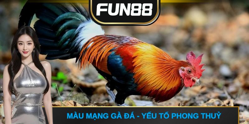 Màu mạng đá gà - Yếu tố phong thuỷ 