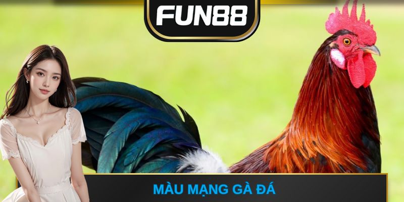 màu mạng gà đá