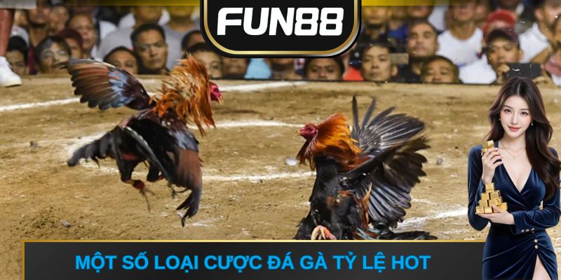 Một số loại cược đá gà tỷ lệ hot