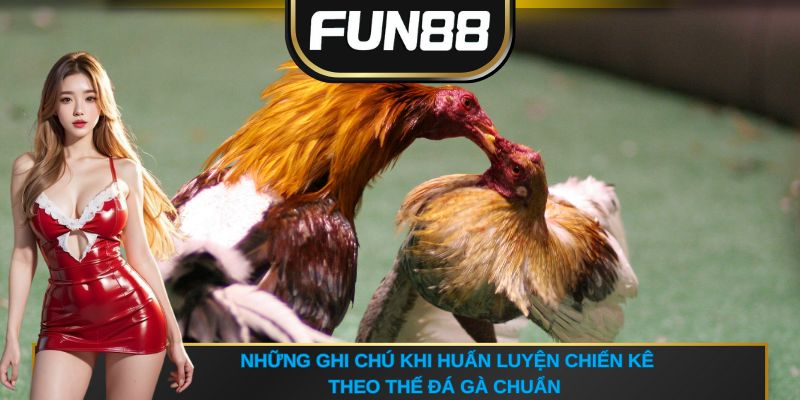 Những ghi chú khi huấn luyện chiến kê theo thế đá gà chuẩn