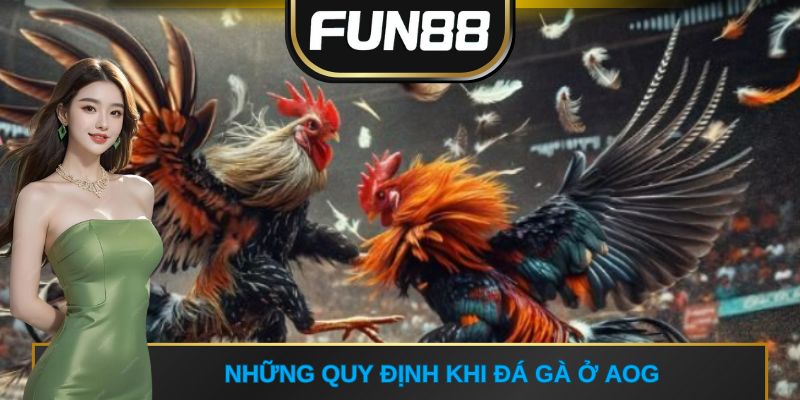 Những quy định khi đá gà ở AOG