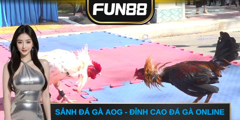 Sảnh đá gà AOG - Đỉnh cao đá gà online