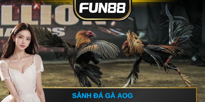 Sảnh đá gà AOG