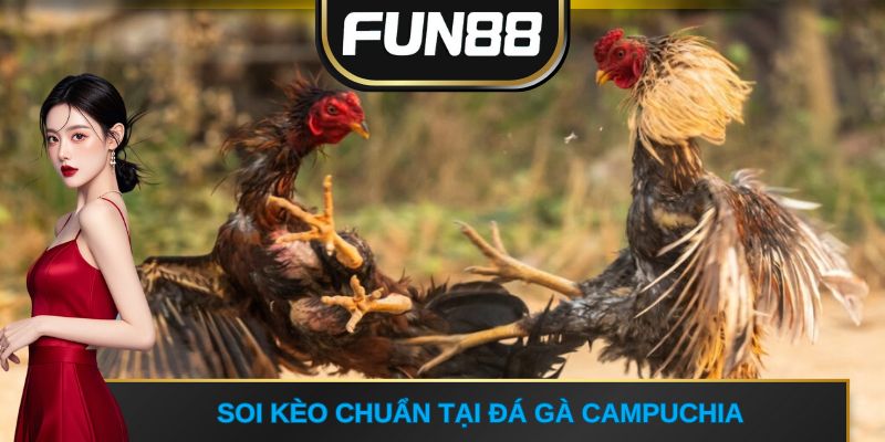 Soi kèo chuẩn tại đá gà Campuchia