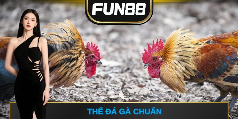 thế đá gà chuẩn