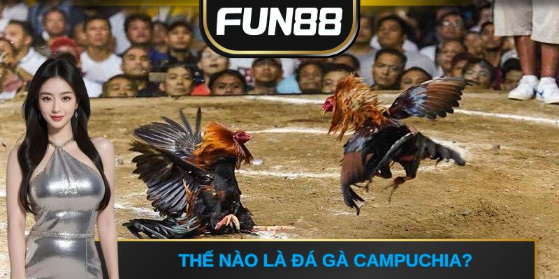 Thế nào là đá gà Campuchia?