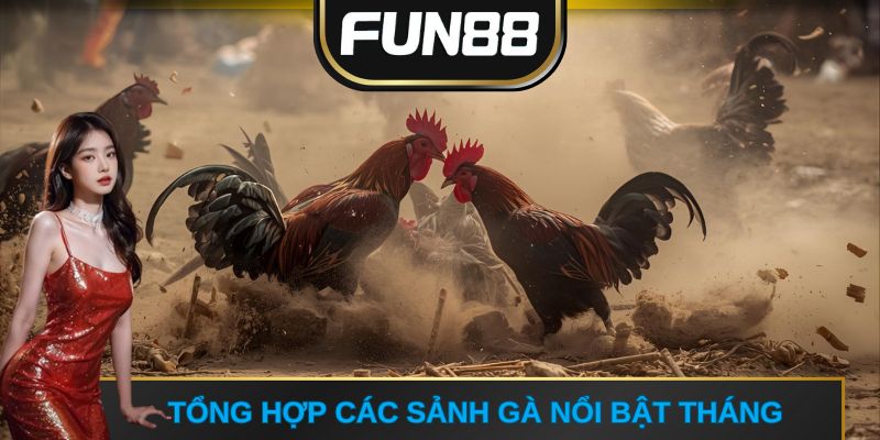 Tổng hợp các sảnh gà nổi bật tháng