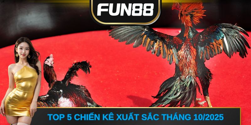 Top 5 chiến kê xuất sắc tháng 10/2025