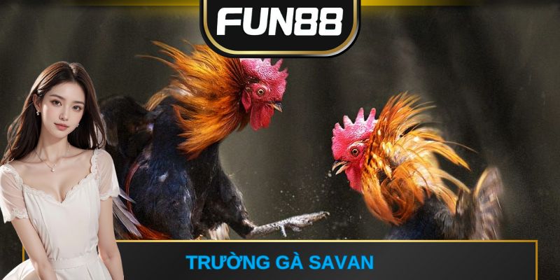Trường gà Savan