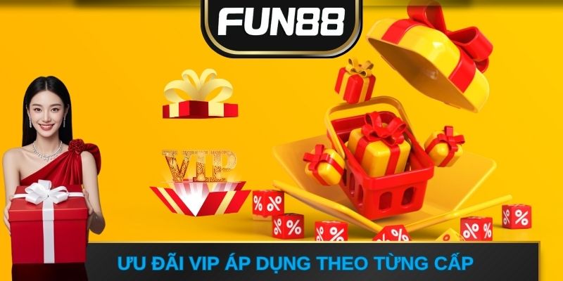Ưu đãi VIP áp dụng theo từng cấp