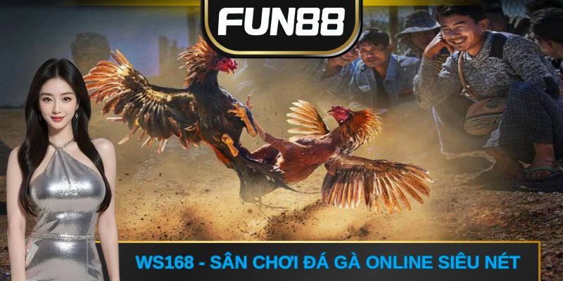 WS168 - Sân chơi đá gà online siêu nét
