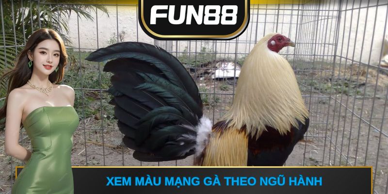 Xem màu mạng gà theo ngũ hành