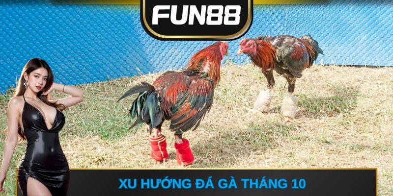 Xu hướng đá gà tháng 10